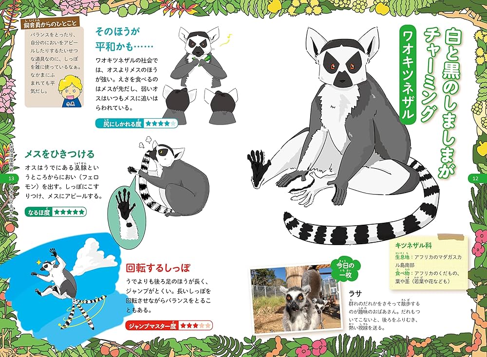 Amazon.co.jp: 飼育員がつくったサルの図鑑: かならず会いたく